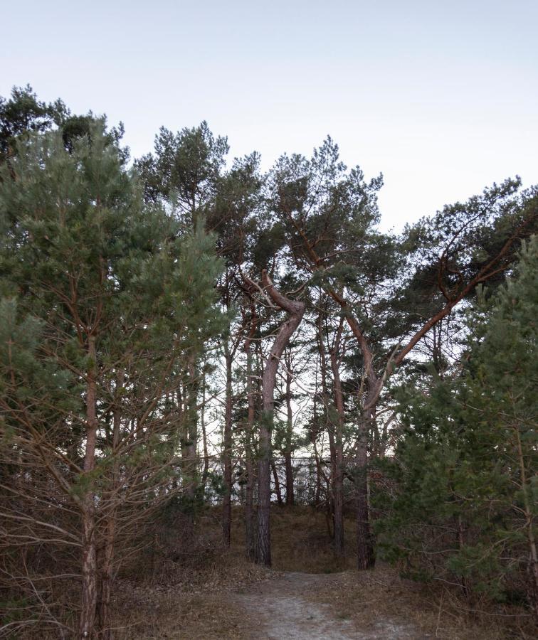 Luxus-Maisonette für die große Familie mit direktem Strandzugang Ostseebad Ostseebad Binz Exterior foto